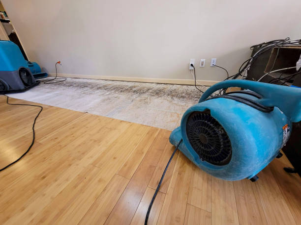 Professional Water Removal technician working in Rio Rancho, NM